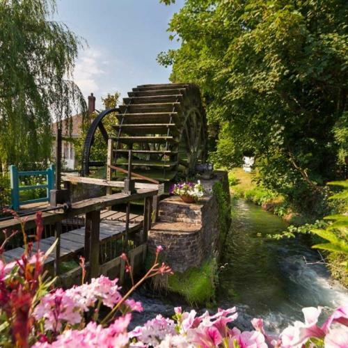Le Clos Saint Vincent Manneville-ès-Plains 외부 사진